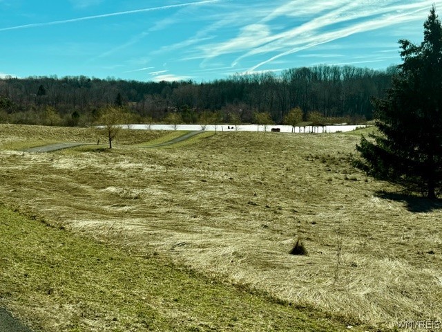 0 Rt-77 Java Center Java Center, NY 14082 - Photo 3 of 18 March 2026 - Pond from higher elevation