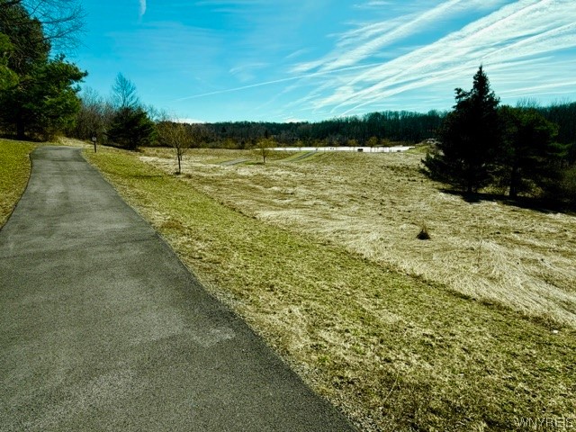 0 Rt-77 Java Center Java Center, NY 14082 - Photo 4 of 18 March 2026 - Paved path