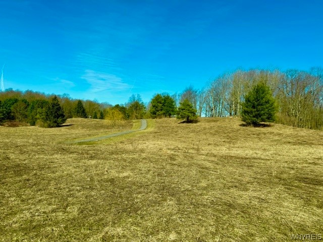 0 Rt-77 Java Center Java Center, NY 14082 - Photo 5 of 18 March 2026 - Looking toward the back of the proper