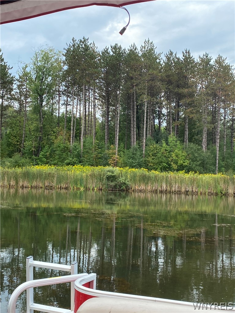 0 Rt-77 Java Center Java Center, NY 14082 - Photo 10 of 18 Summer photo