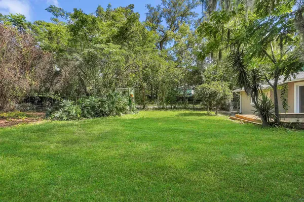 a view of a backyard with a garden and trees