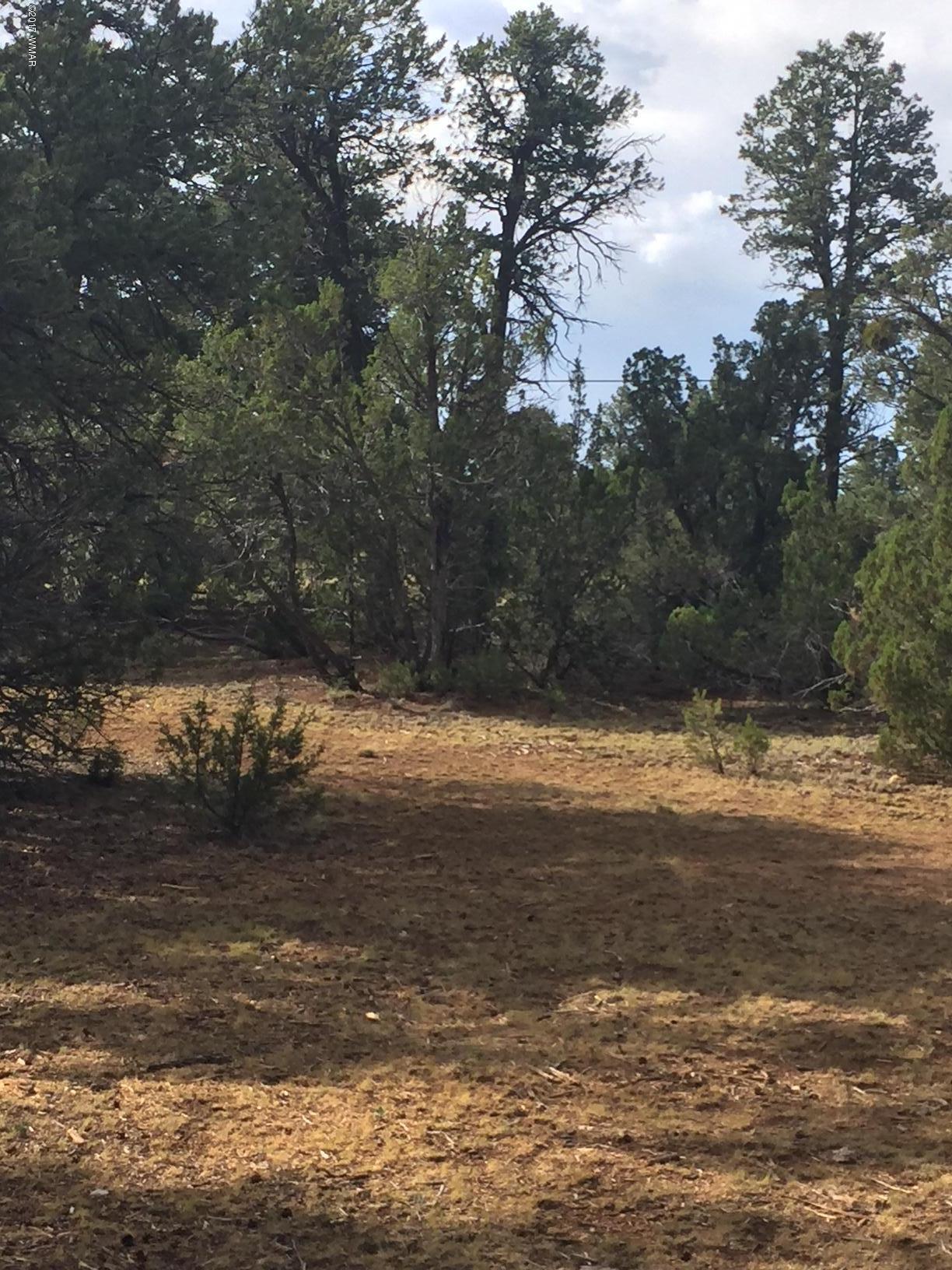 3035 Highway 277 Overgaard, AZ 85933 - Photo 3 of 5