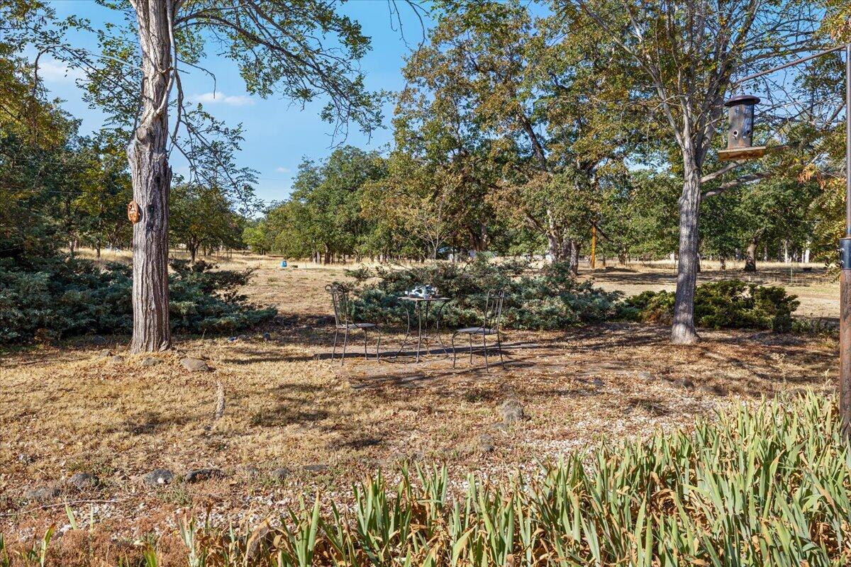 11615 Michael Road White City, OR 97503 - Photo 19 of 30 19-CI_5315
