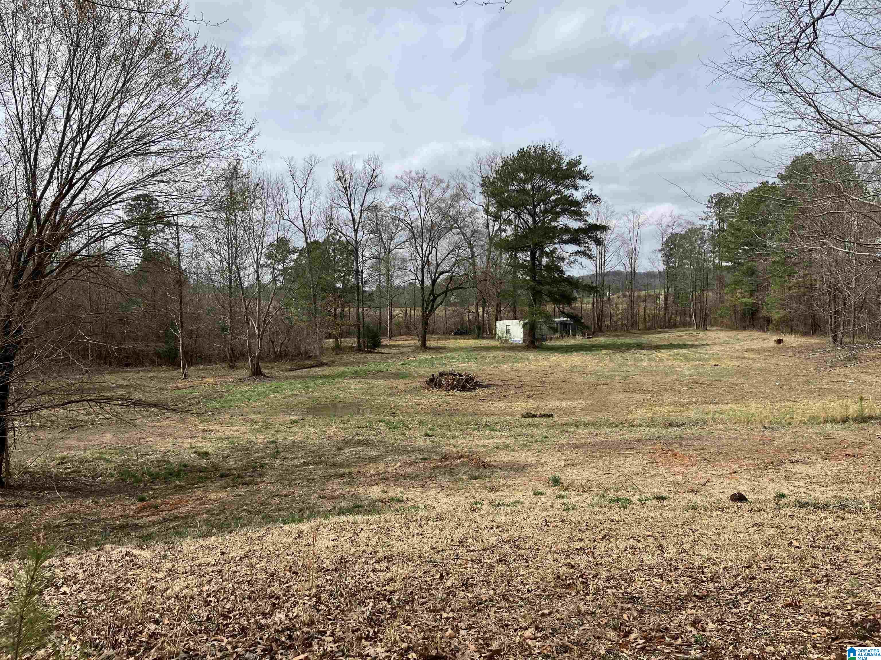 4624 Greensport Road Ashville, AL 35953 - Photo 17 of 37