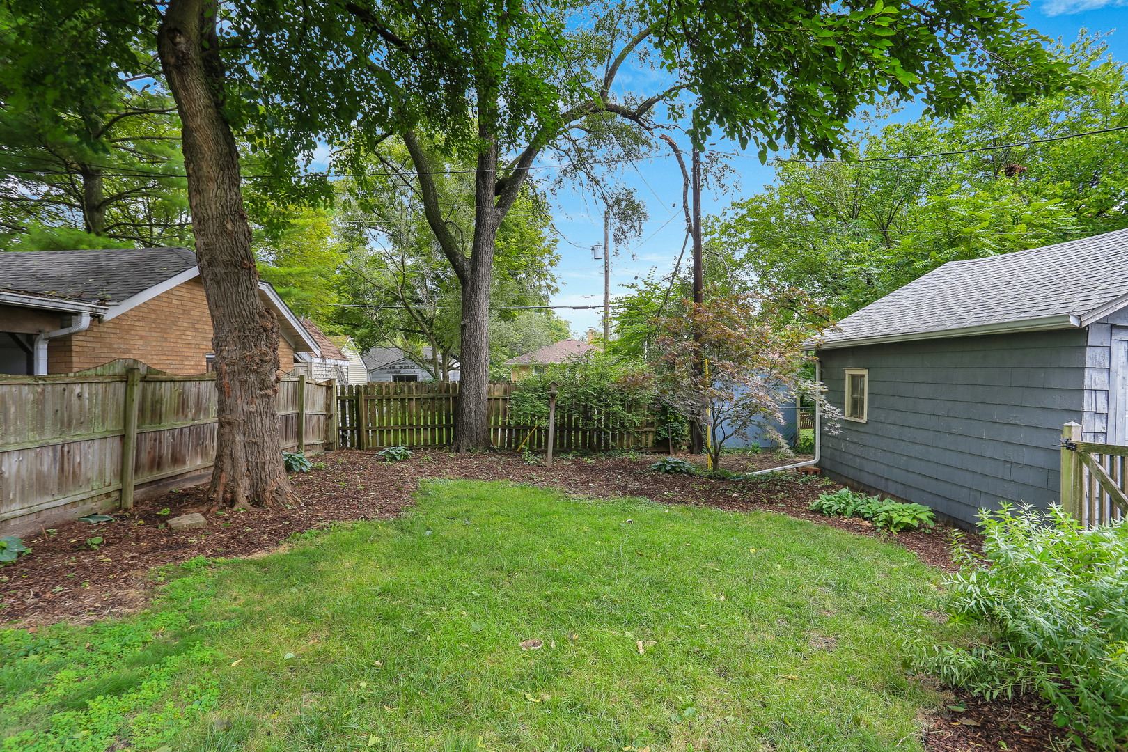 1206 West Healey Street Champaign, IL 61821 - Photo 36 of 42 a backyard of a house with plants and large tree