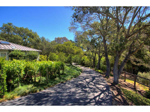 140 Eleanor Drive Woodside, CA 94062 - Photo 4 of 18 a view of backyard with green space