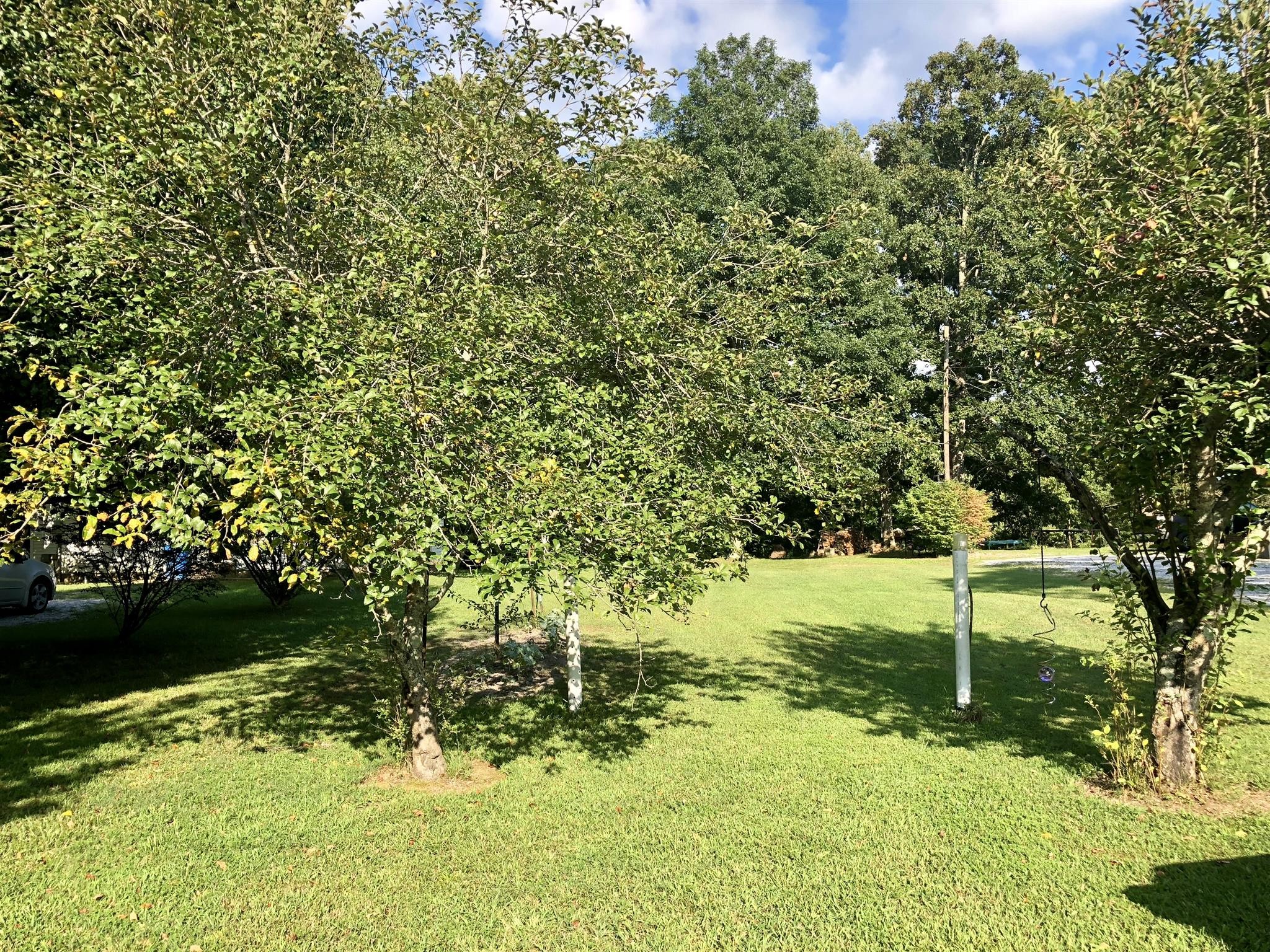0 Fredonia Road Manchester, TN 37355 - Photo 3 of 4 Gallery Image 3