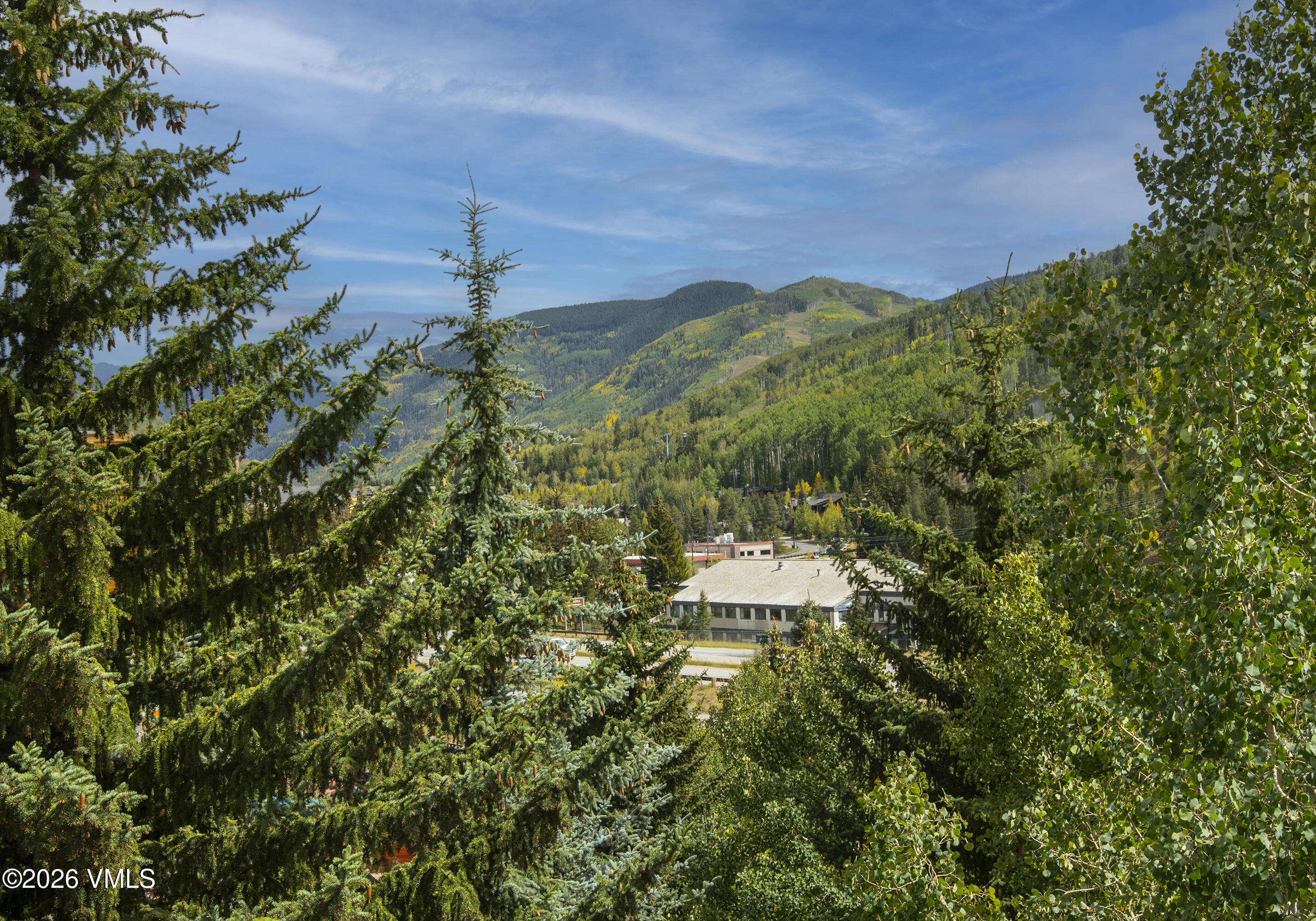 1100 North Frontage Road West, Unit 1523 Vail, CO 81657 - Photo 24 of 39 Simba-Run-1523-MLS_25