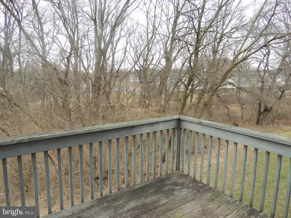 a view of road with with large trees