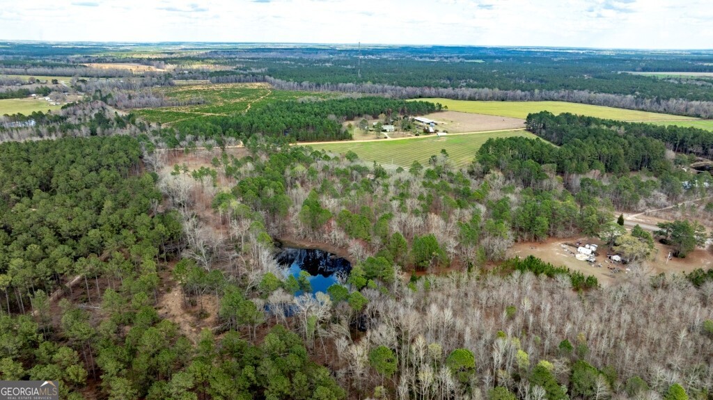 13463 Cowart Pond Road Metter, GA 30439 - Photo 21 of 21