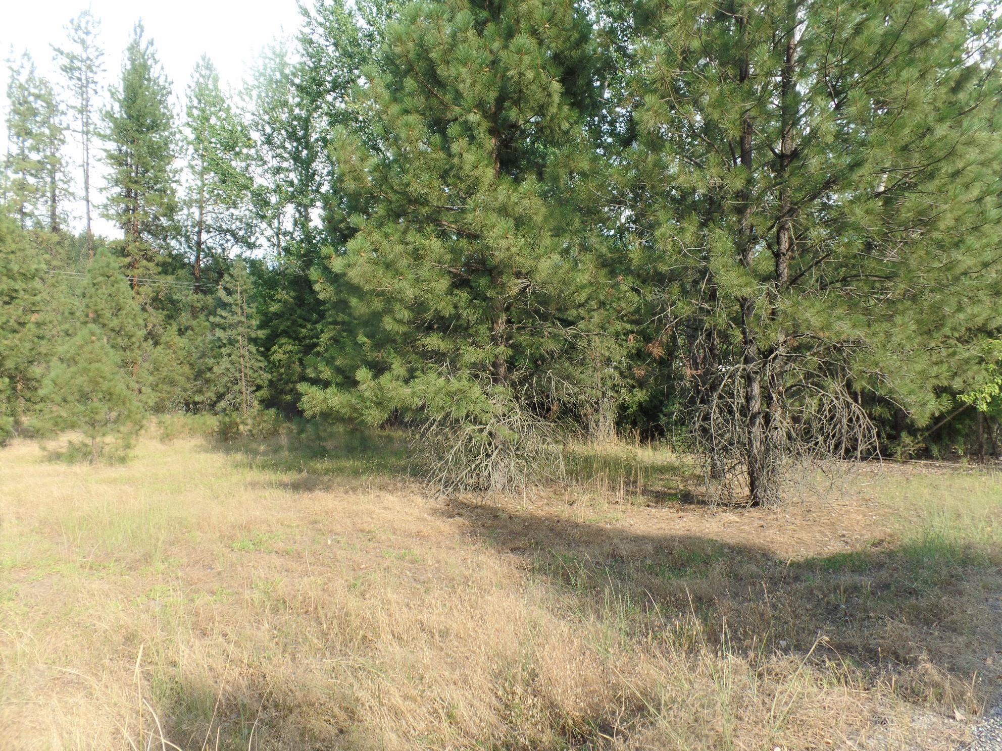 Lot 19 Paradise Cove Road Kettle Falls, WA 99141 - Photo 11 of 15 Gallery Image 11