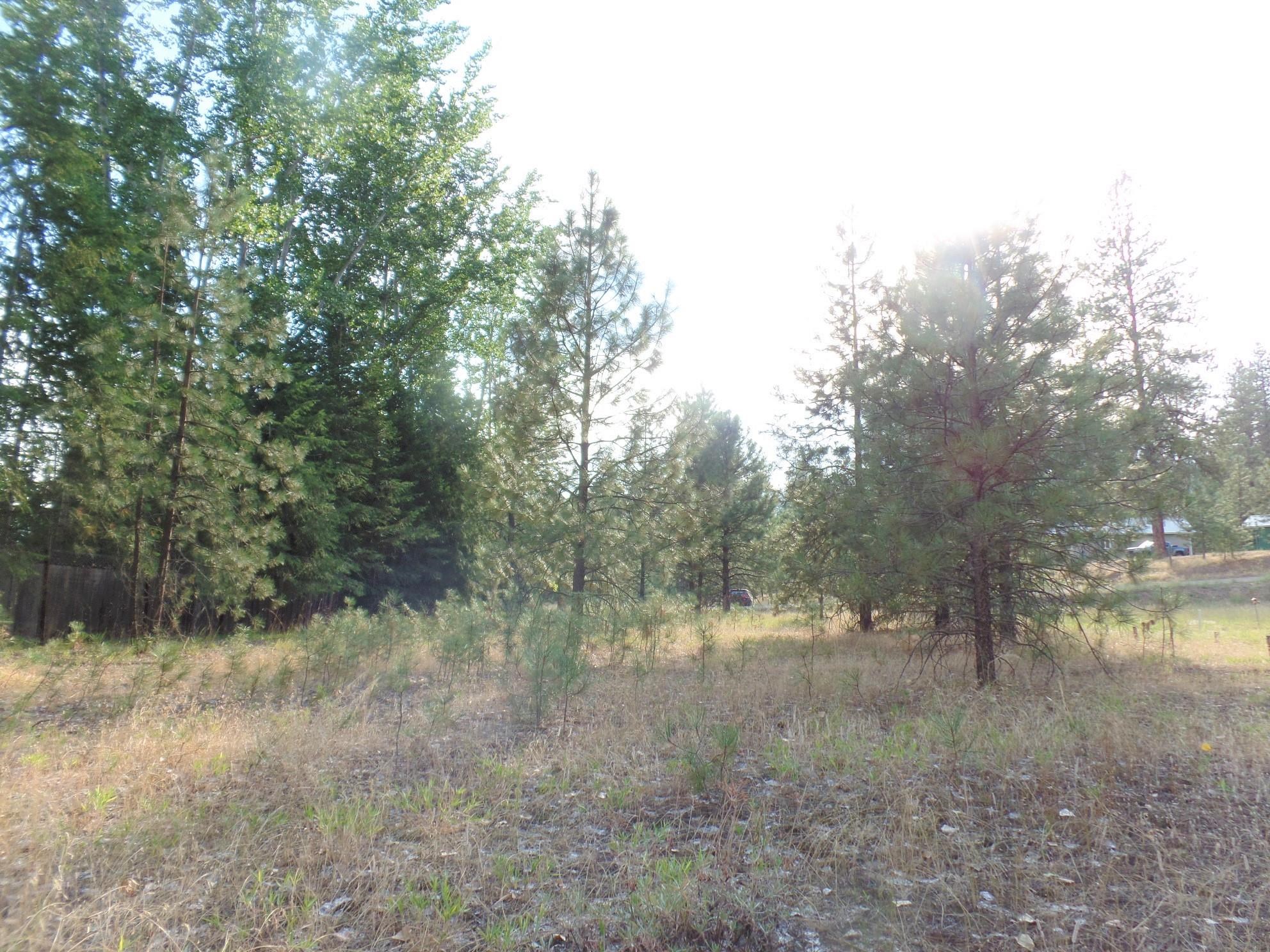 Lot 19 Paradise Cove Road Kettle Falls, WA 99141 - Photo 12 of 15 Gallery Image 12