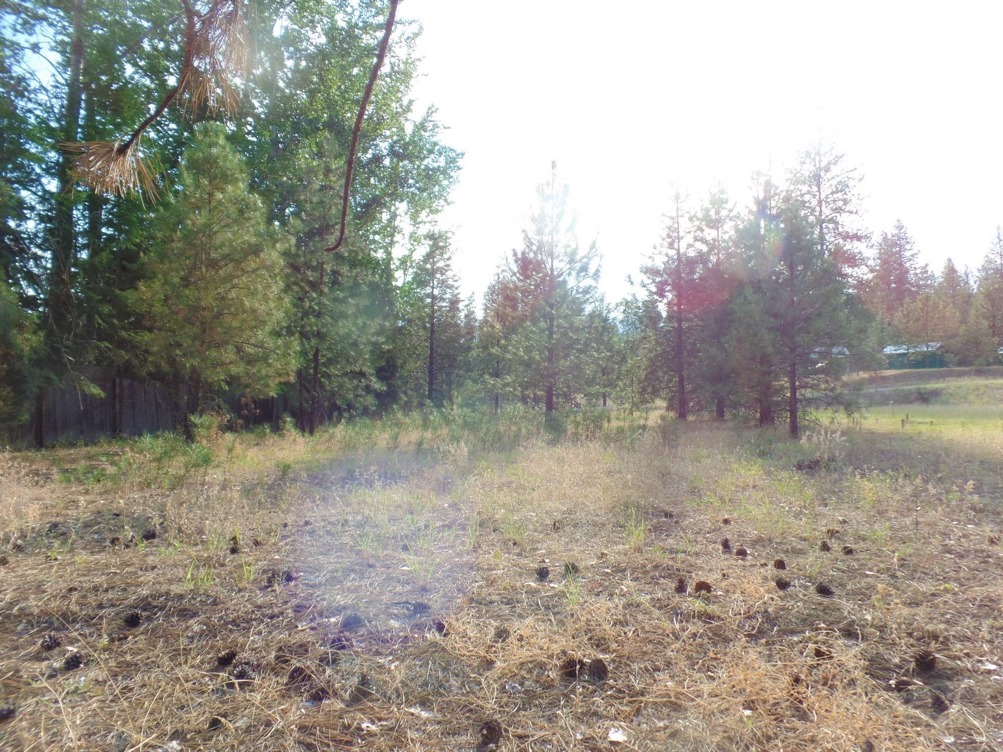 Lot 19 Paradise Cove Road Kettle Falls, WA 99141 - Photo 13 of 15 Gallery Image 13