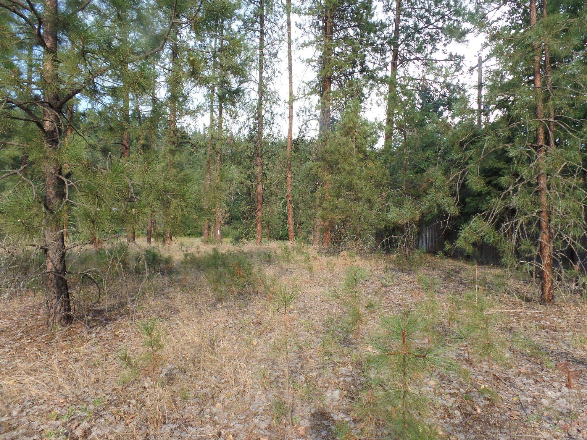 Lot 19 Paradise Cove Road Kettle Falls, WA 99141 - Photo 14 of 15 Gallery Image 14