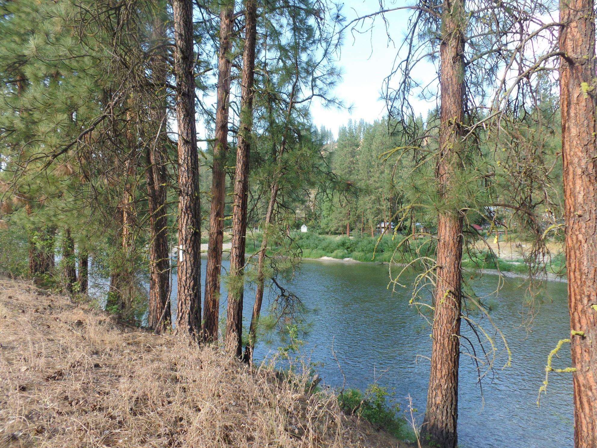 Lot 19 Paradise Cove Road Kettle Falls, WA 99141 - Photo 15 of 15 Gallery Image 15