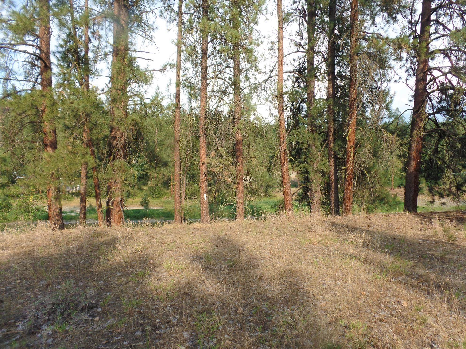 Lot 19 Paradise Cove Road Kettle Falls, WA 99141 - Photo 2 of 15 Gallery Image 2