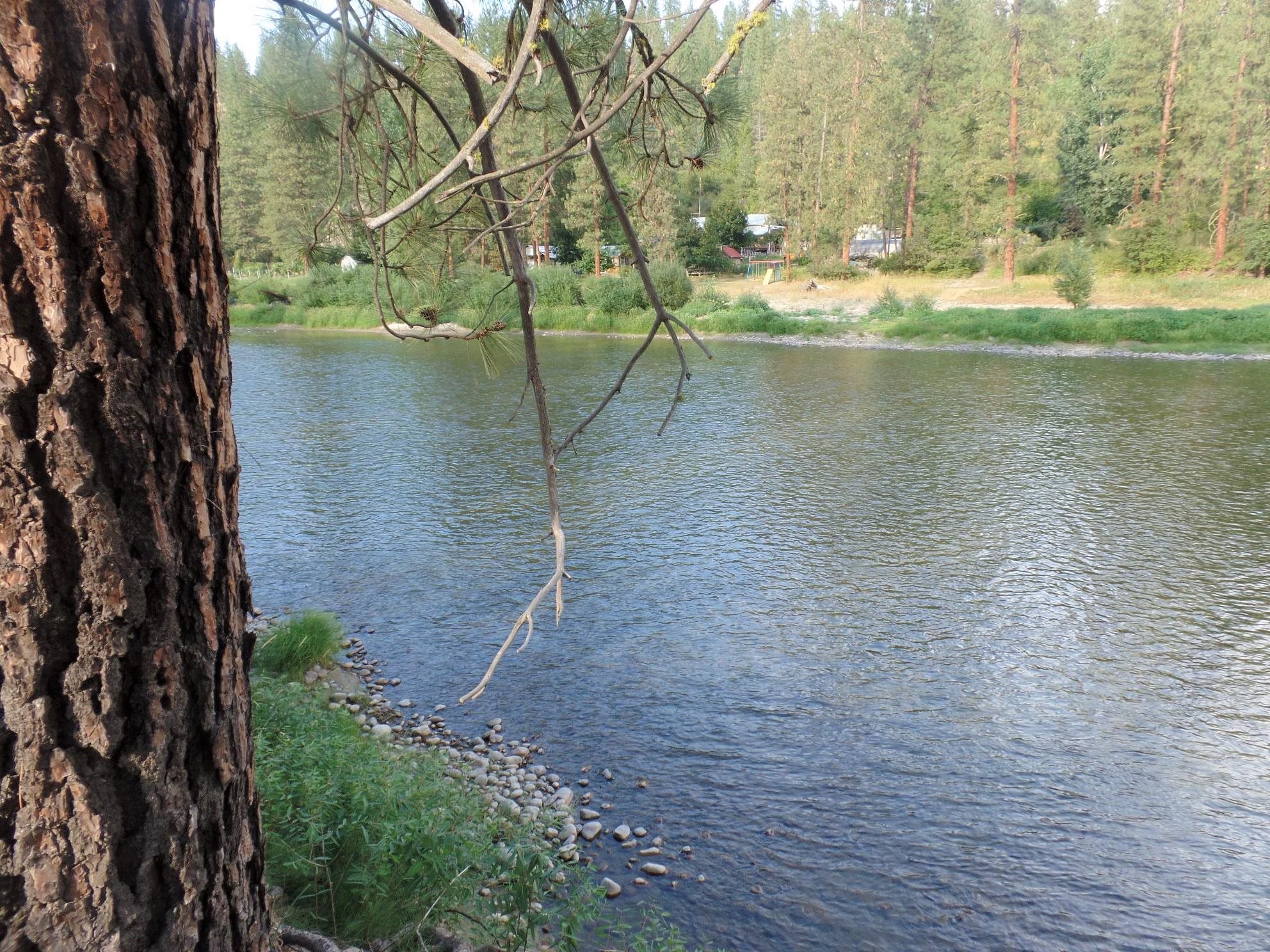 Lot 19 Paradise Cove Road Kettle Falls, WA 99141 - Photo 3 of 15 Gallery Image 3