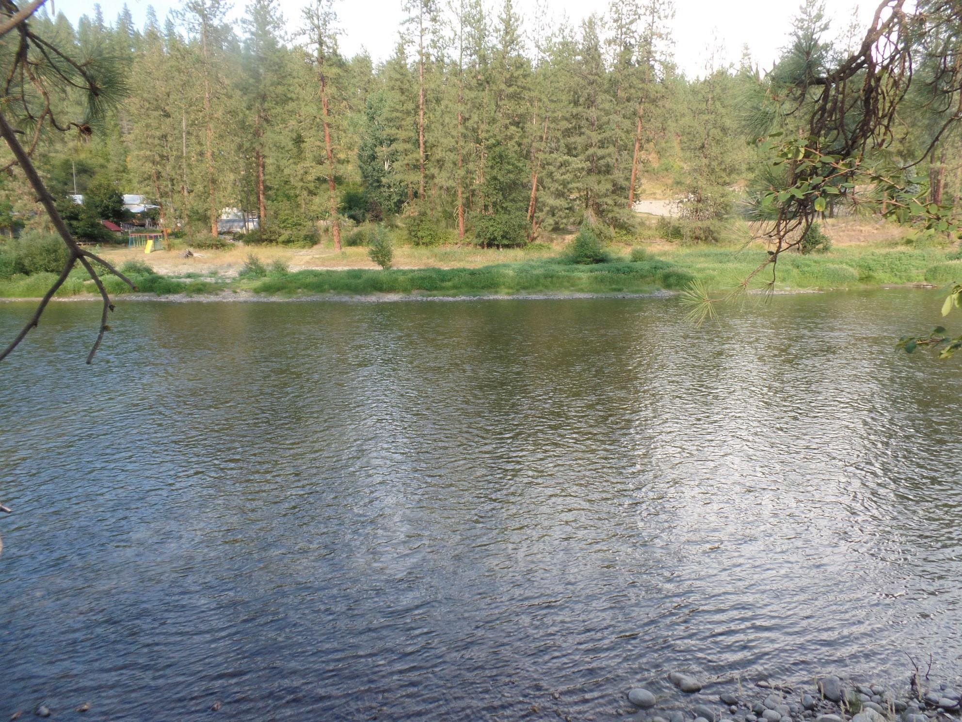 Lot 19 Paradise Cove Road Kettle Falls, WA 99141 - Photo 4 of 15 Gallery Image 4