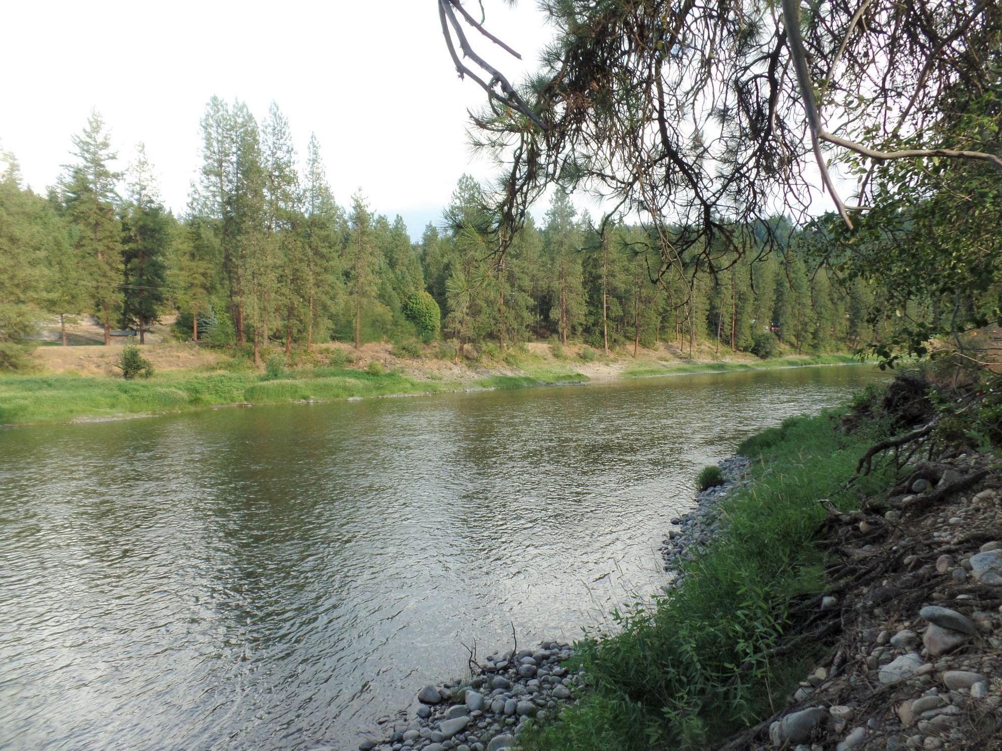 Lot 19 Paradise Cove Road Kettle Falls, WA 99141 - Photo 6 of 15 Gallery Image 6