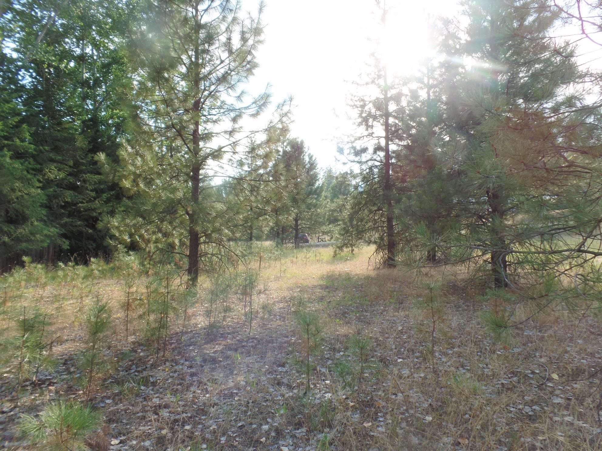 Lot 19 Paradise Cove Road Kettle Falls, WA 99141 - Photo 7 of 15 Gallery Image 7