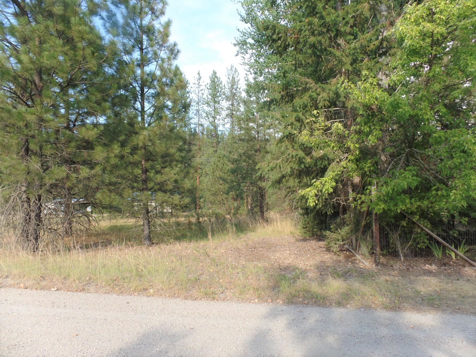 Lot 19 Paradise Cove Road Kettle Falls, WA 99141 - Photo 8 of 15 Gallery Image 8