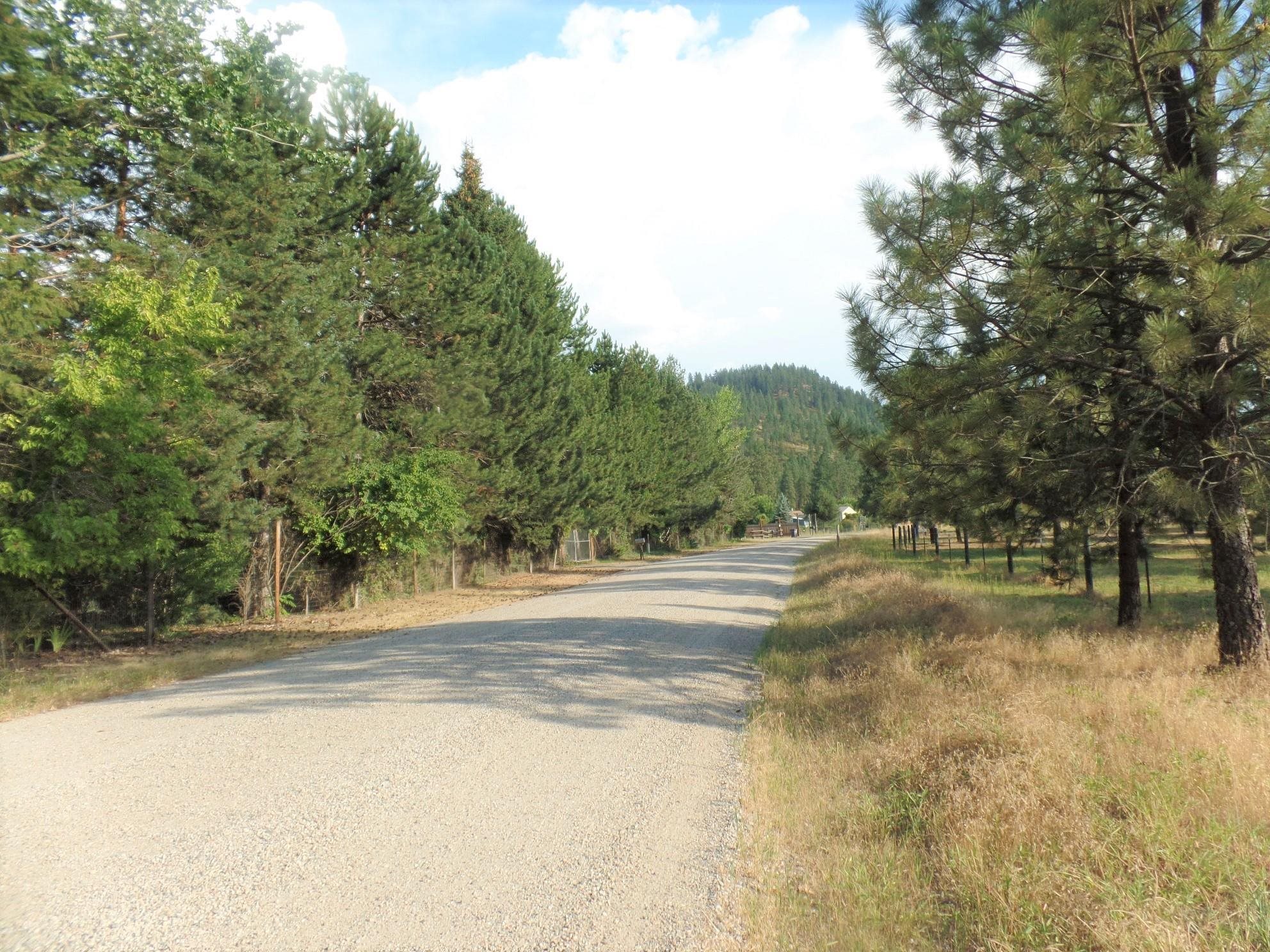 Lot 19 Paradise Cove Road Kettle Falls, WA 99141 - Photo 9 of 15 Gallery Image 9