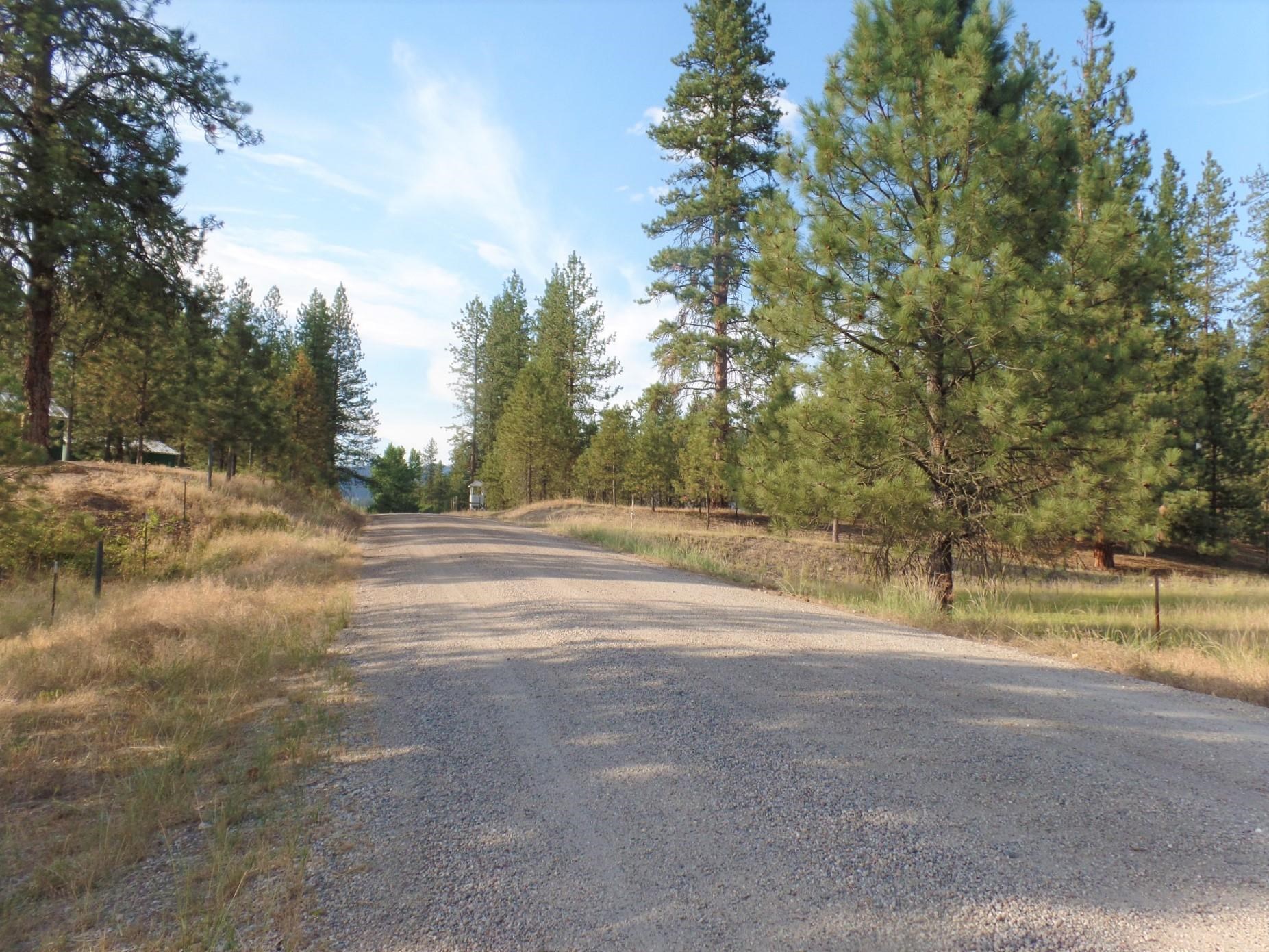 Lot 19 Paradise Cove Road Kettle Falls, WA 99141 - Photo 10 of 15 Gallery Image 10