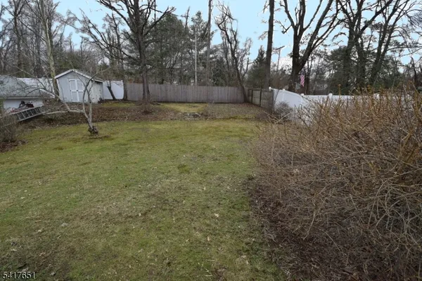 a view of backyard with tree