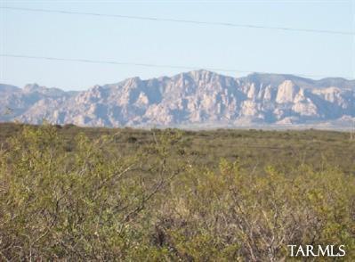 234 West Reed Road Tombstone, AZ 85638 - Photo 1 of 8