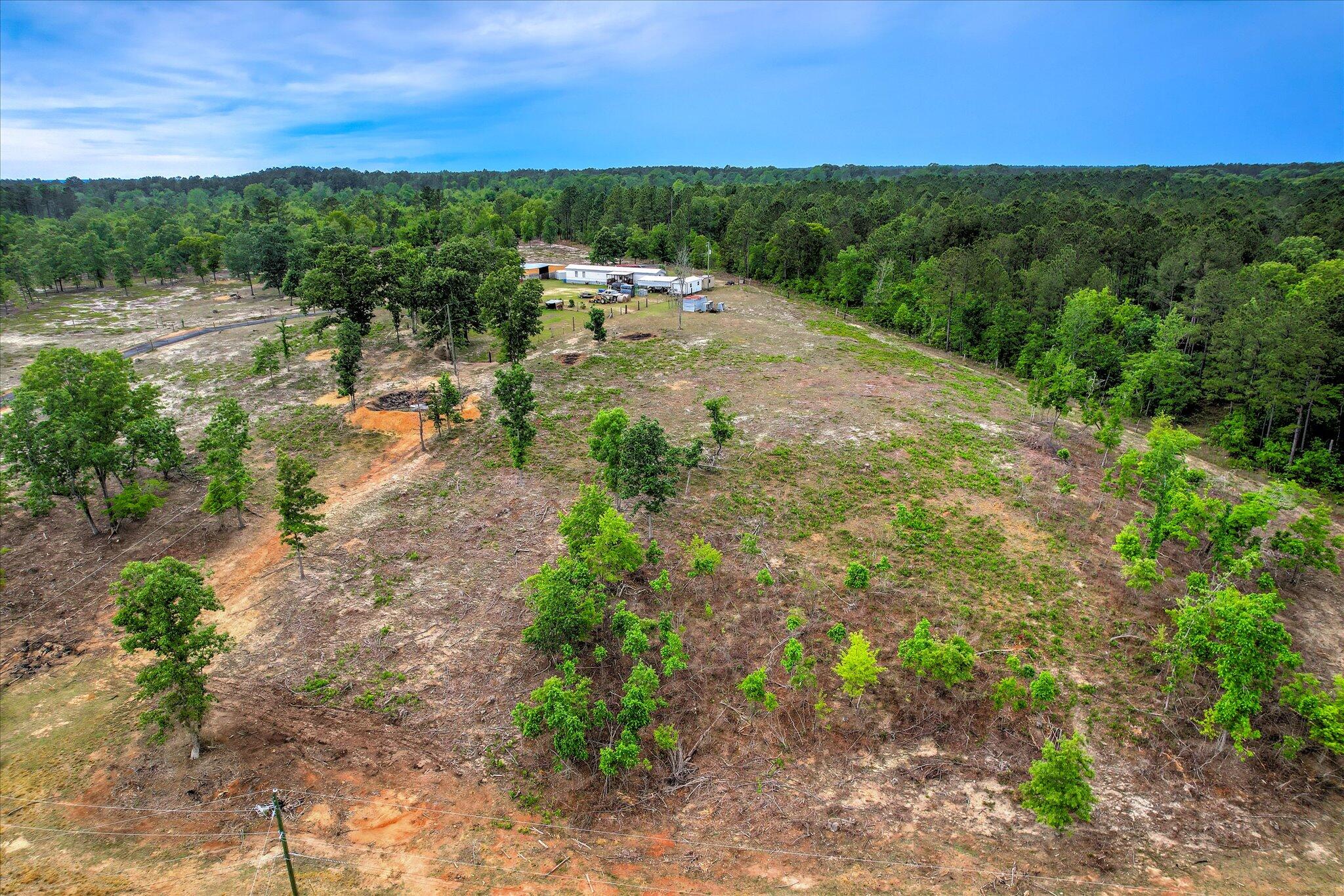 173 Daytona Road Wagener, SC 29164 - Photo 13 of 49