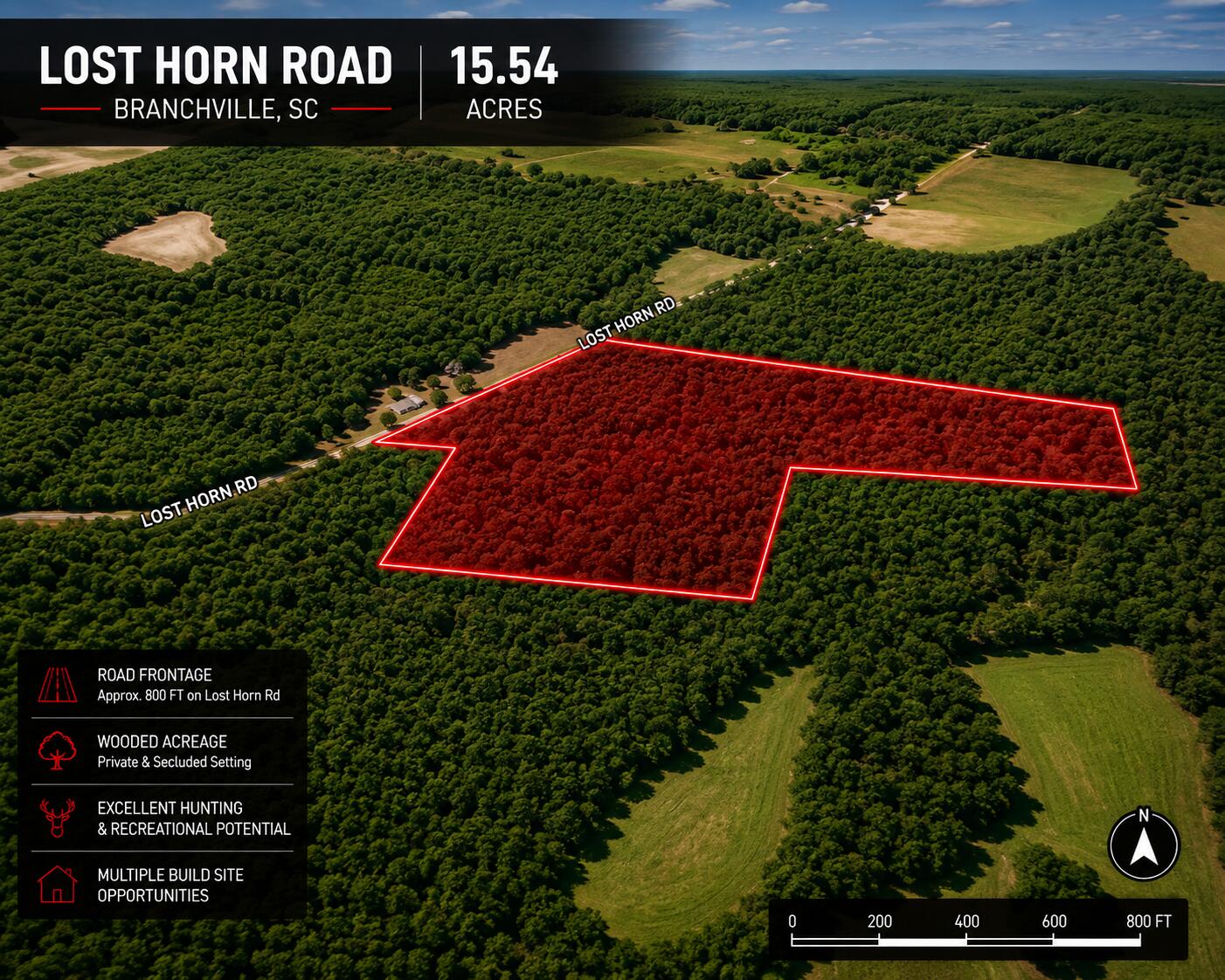 1 Lost Horn Road Reevesville, SC 29471 - Photo 6 of 11 l6