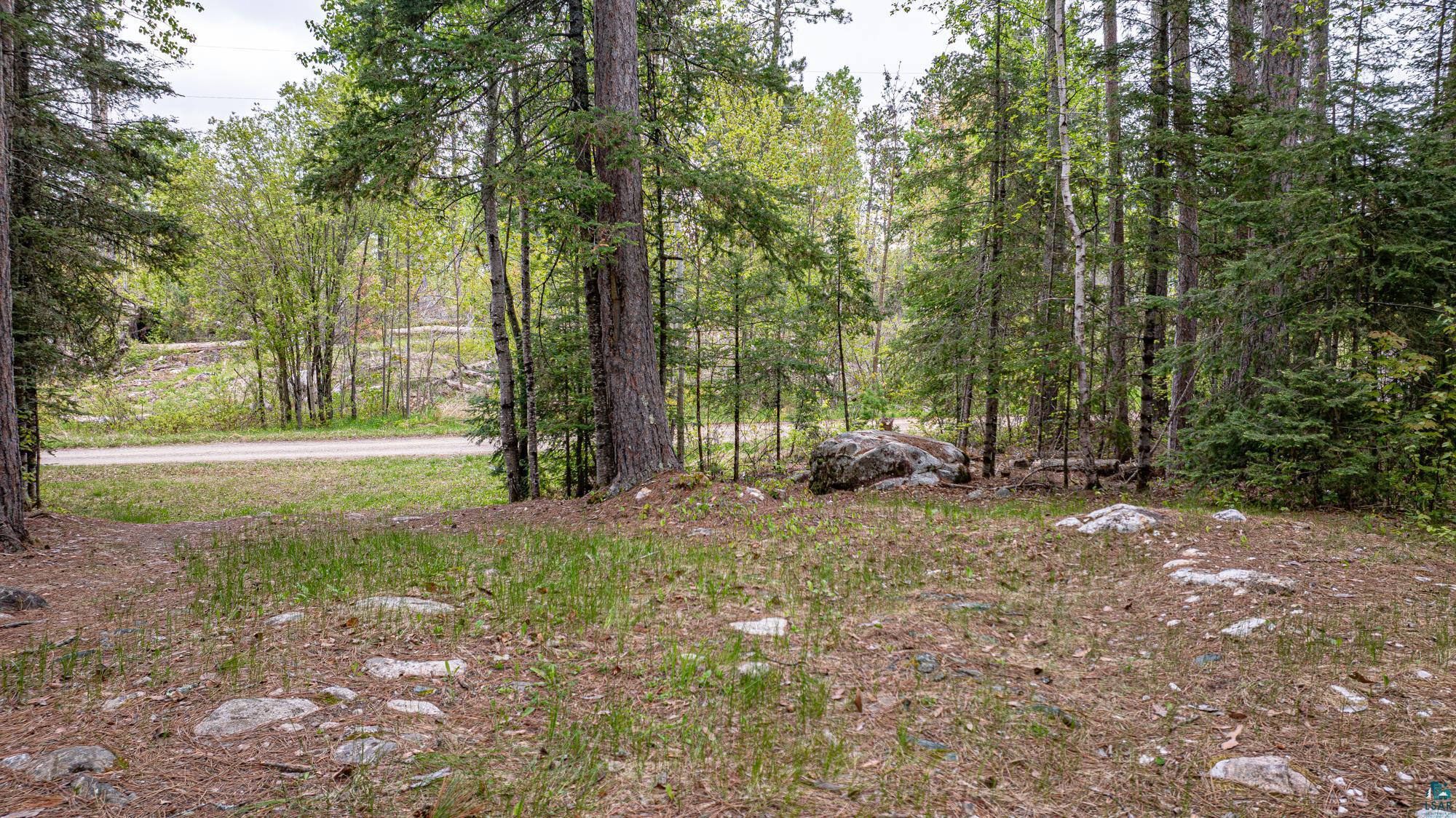 2260 Gold Mine Road Ely, MN 55731 - Photo 13 of 29 View of yard with a forest view
