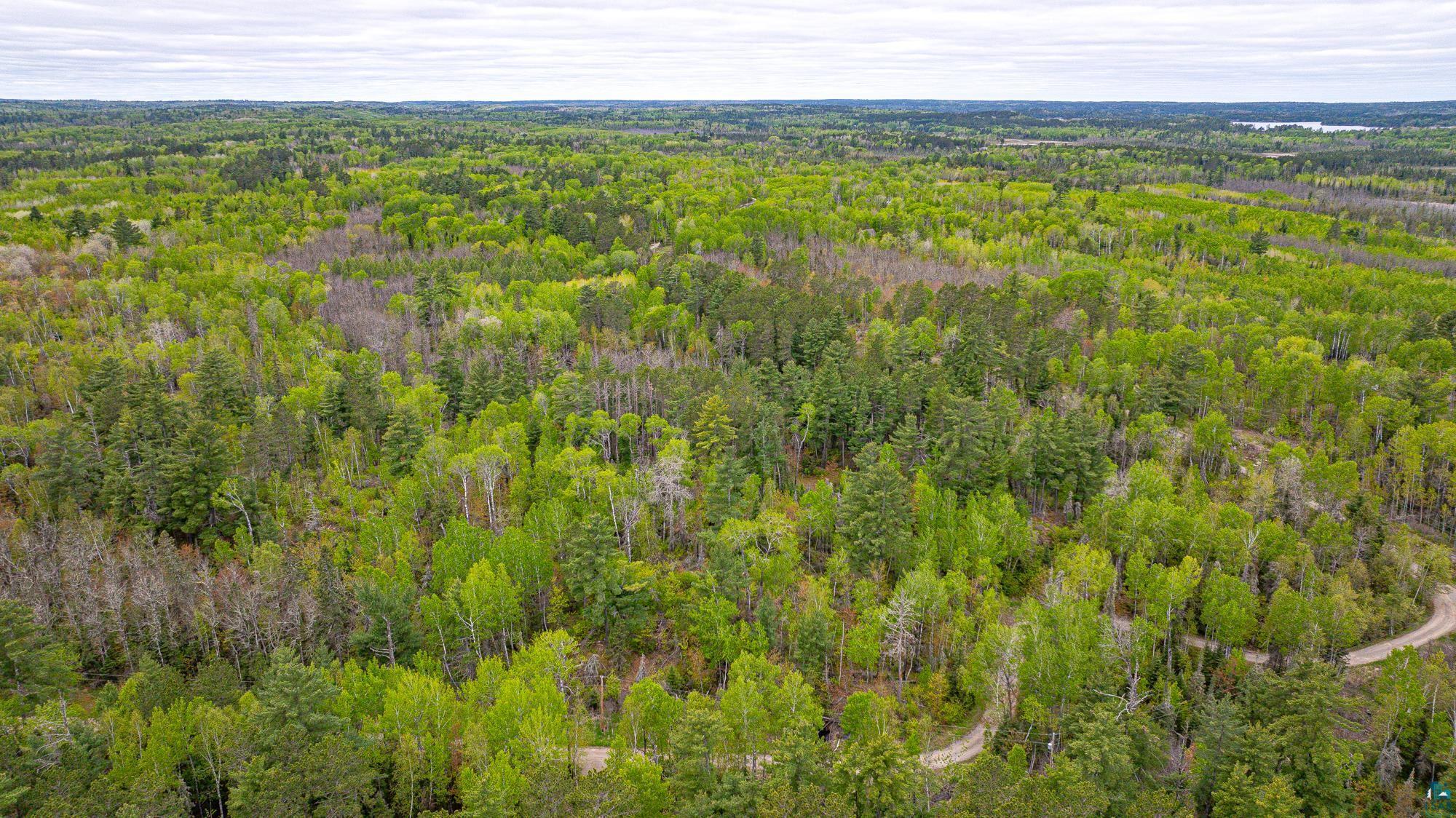 2260 Gold Mine Road Ely, MN 55731 - Photo 19 of 29 Aerial view of a heavily wooded area