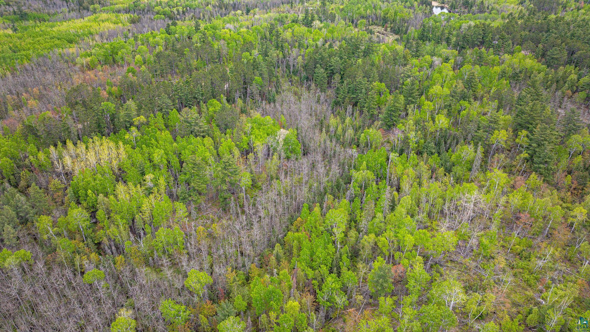 2260 Gold Mine Road Ely, MN 55731 - Photo 24 of 29 Bird's eye view of a forest