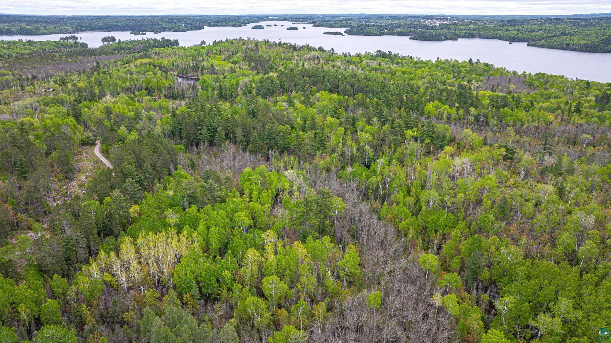2260 Gold Mine Road Ely, MN 55731 - Photo 25 of 29 Aerial view of a heavily wooded area and a nearby body of water
