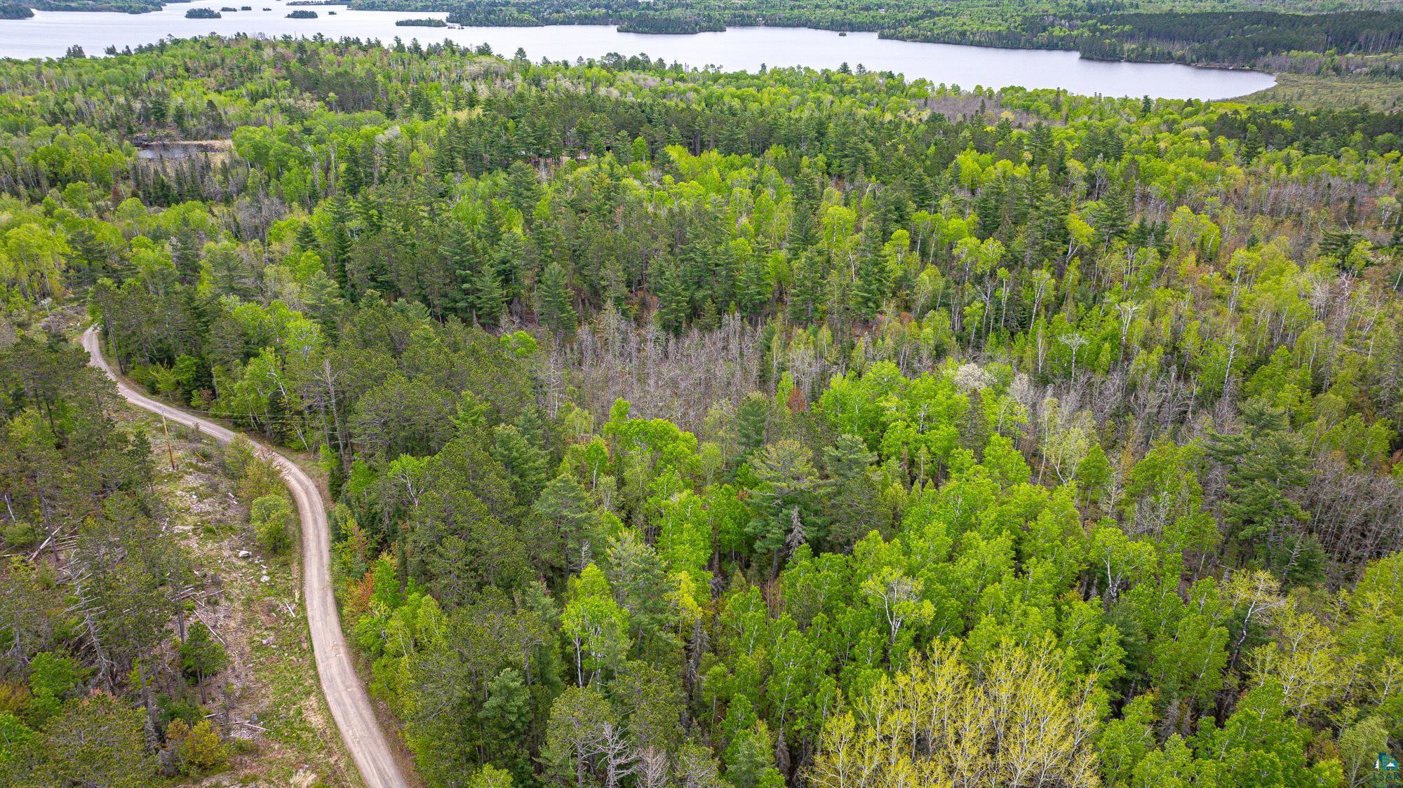 2260 Gold Mine Road Ely, MN 55731 - Photo 27 of 29 Aerial overview of property's location featuring a heavily wooded area and a large body of water