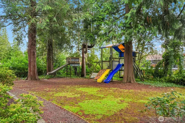 a view of a yard with tree s