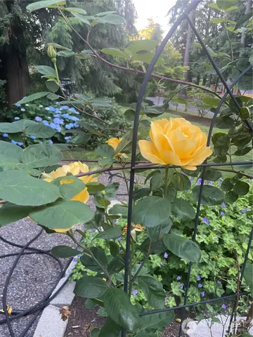 $1,200,000 | 22707 53rd Avenue Southeast, Bothell, WA 98021