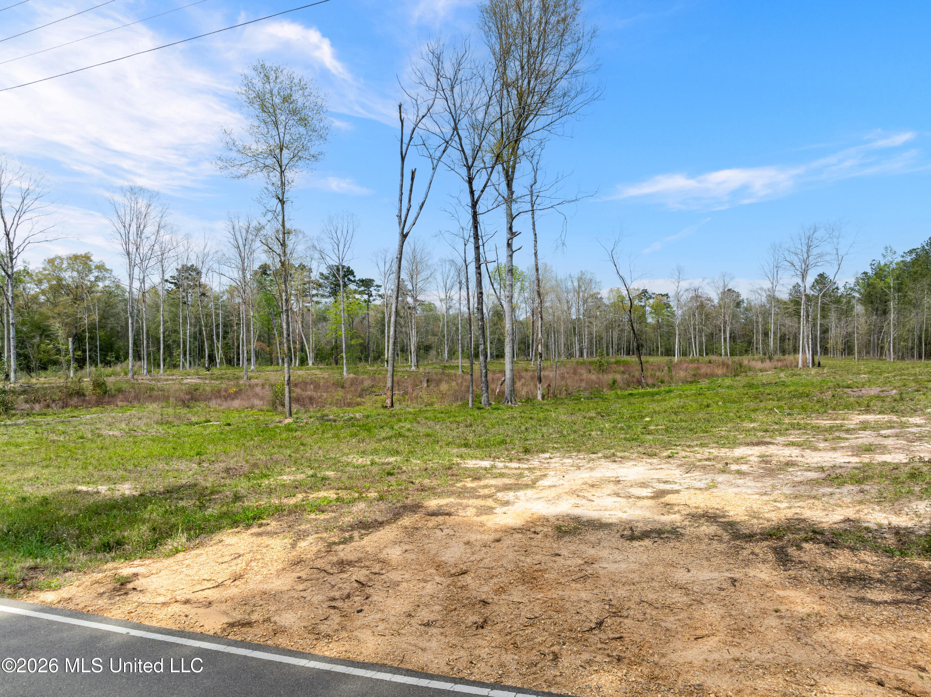 0 Scruggs Road Sumrall, MS 39482 - Photo 4 of 17 520_Scruggs_Rd-4