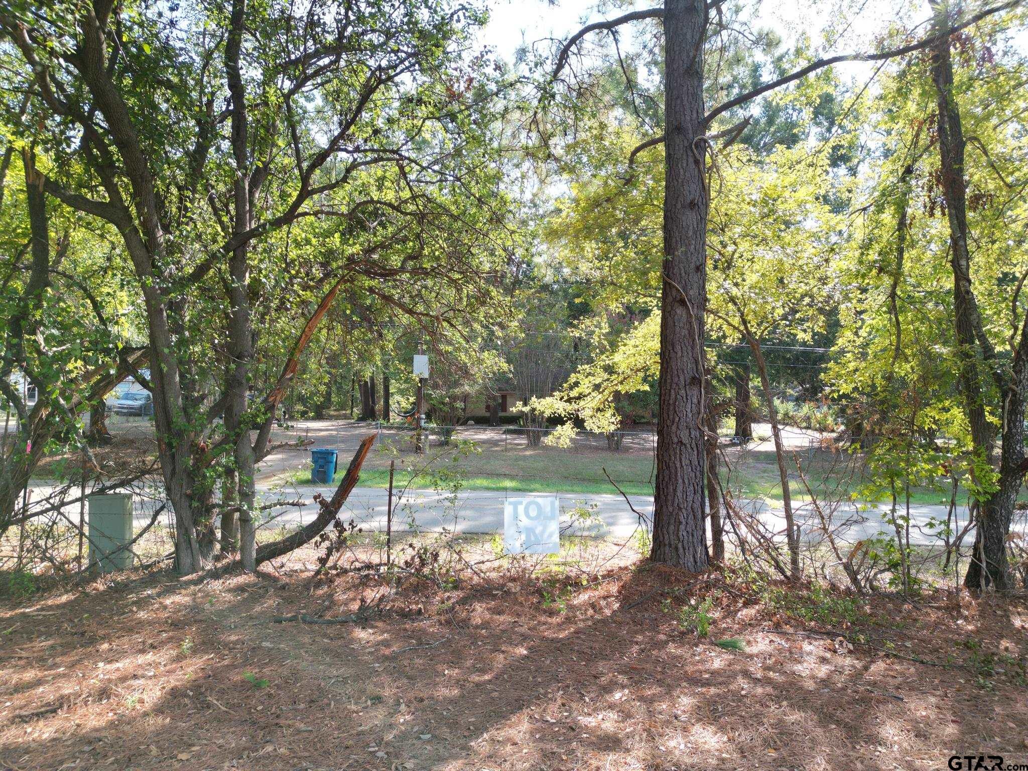 Lot 4 Willingham Road Whitehouse, TX 75791 - Photo 11 of 12 Gallery Image 11