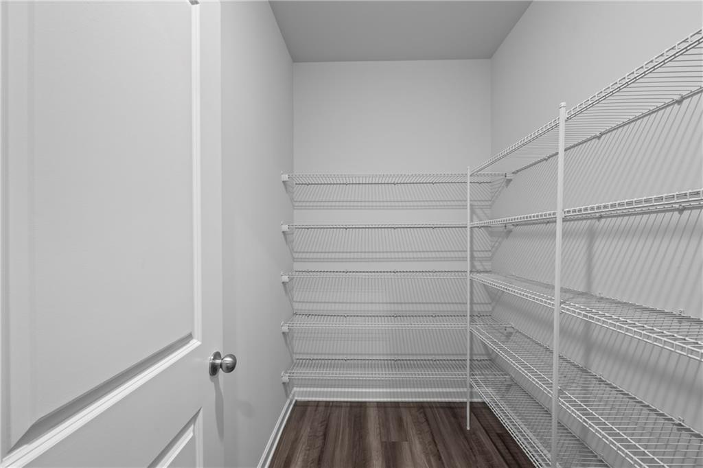 30 Fanleaf Drive Fairburn, GA 30213 - Photo 30 of 88 a view of walk in closet