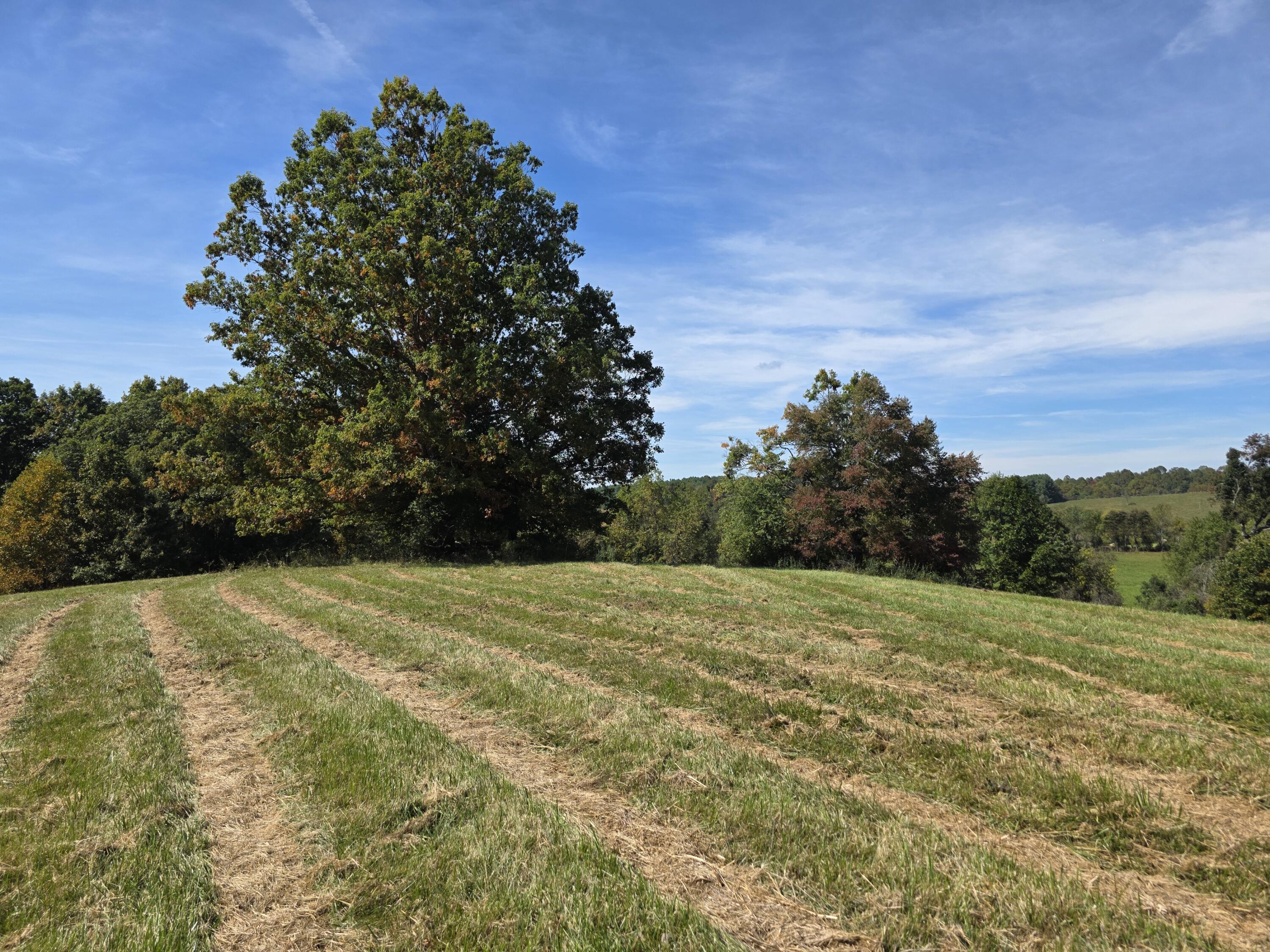 Tbd Ridge Road Northeast Pilot, VA 24138 - Photo 4 of 25 20261002_122222