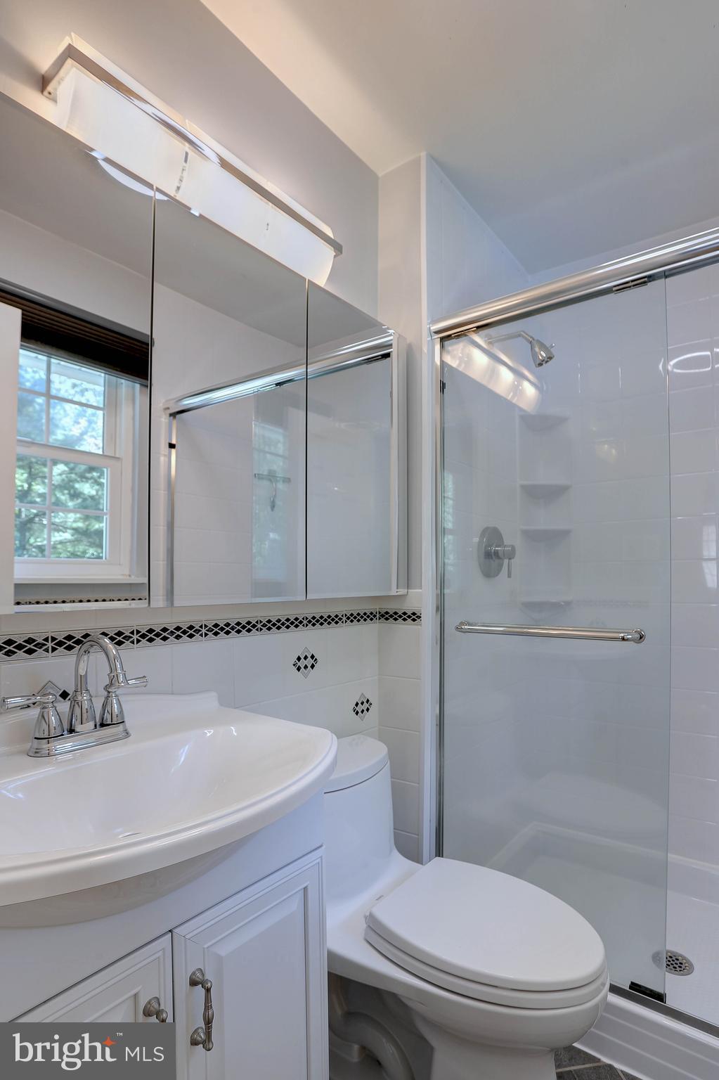 117 Circle Road Pasadena, MD 21122 - Photo 16 of 46 Primary Bathroon