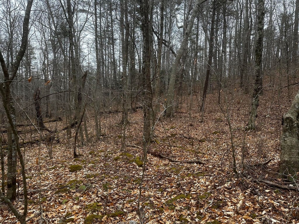 Tbd Laurel Fork Road Dugspur, VA 24325 - Photo 8 of 12 Gallery Image 8