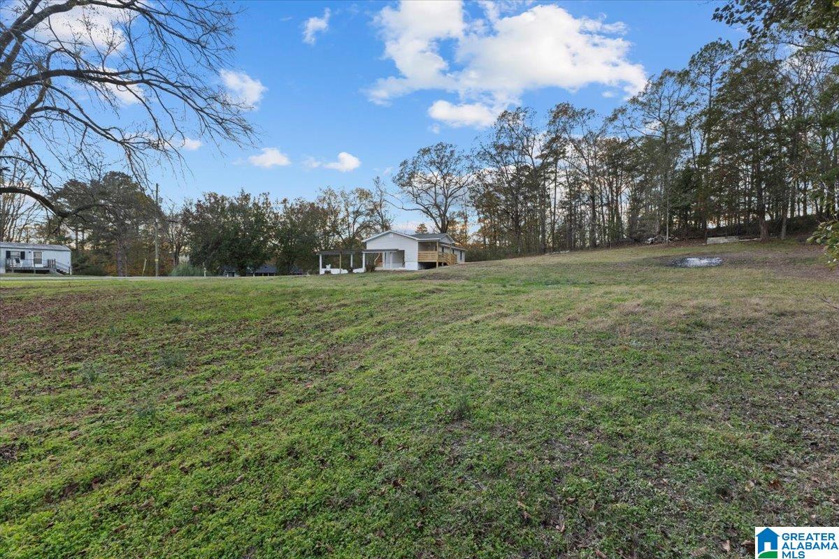 126 Smith Road Trafford, AL 35172 - Photo 25 of 25