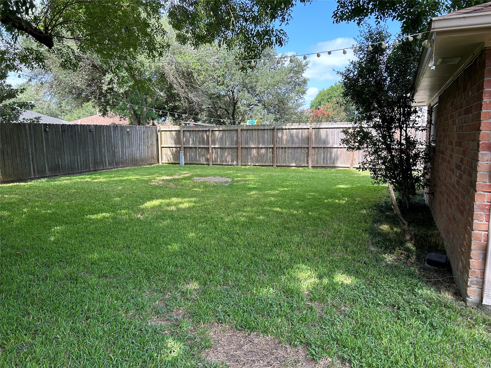 4146 Bermuda Drive Pasadena, TX 77503 - Photo 16 of 16 a view of a backyard with a trees