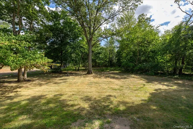 a view of a yard with a trees