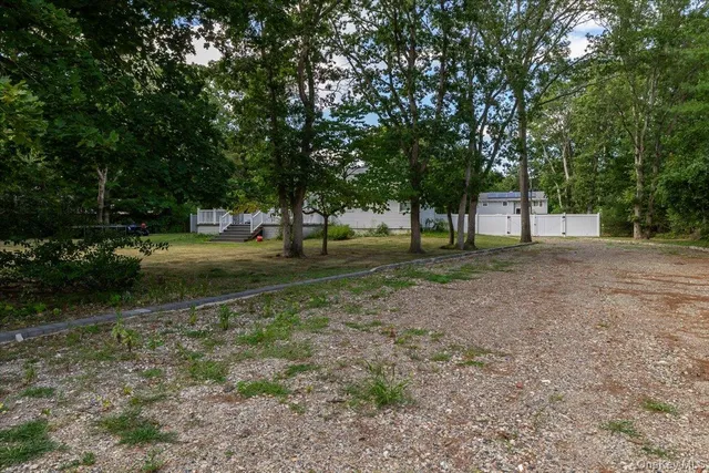 a view of a tree in a park