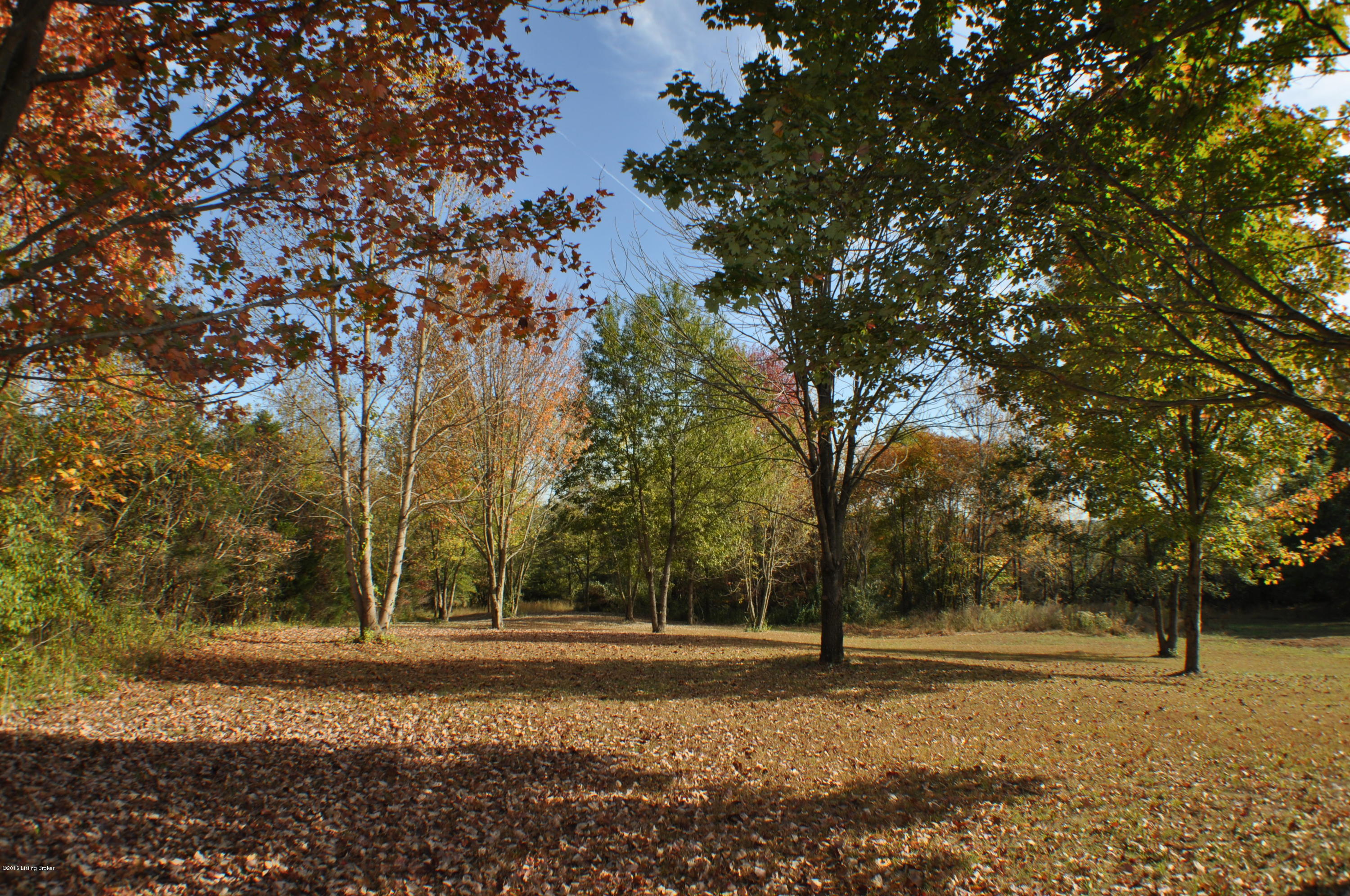 460 Springdale Road Guston, KY 40142 - Photo 14 of 21 DSC_0242