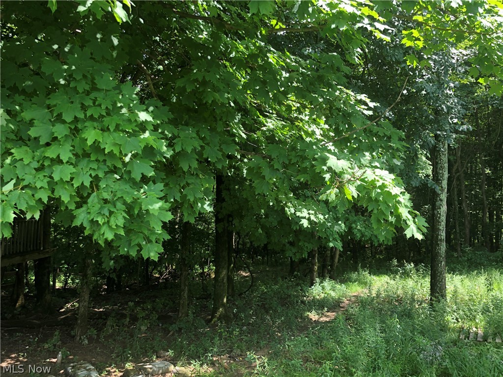 6665 Cimarron Road Mount Perry, OH 43760 - Photo 11 of 11
